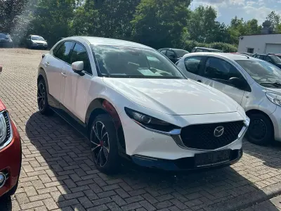 Gebraucht Mazda CX-30 Selection 179 PS (131 kW) 2022 Snowflake white pearl SUV