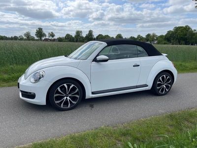 VW Beetle