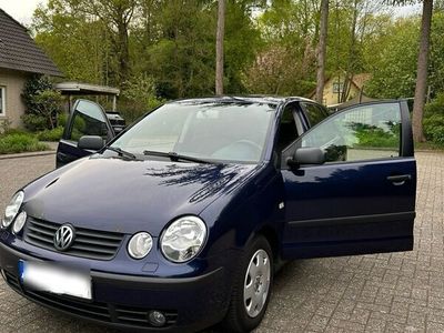 gebraucht VW Polo 