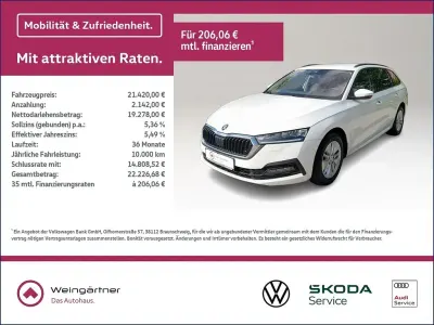 Gebraucht Skoda Octavia Business Line 150 PS (110 kW) 2023 Weiß Kombi