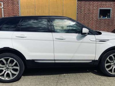 gebraucht Land Rover Range Rover evoque SD4 Aut. Prestige