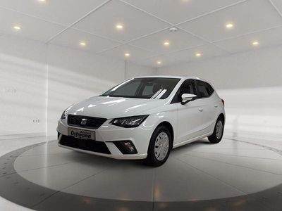 Usata Seat Ibiza Reference 80 CV (58 kW) 2022 Bianco Utilitaria