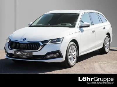 Gebraucht Skoda Octavia