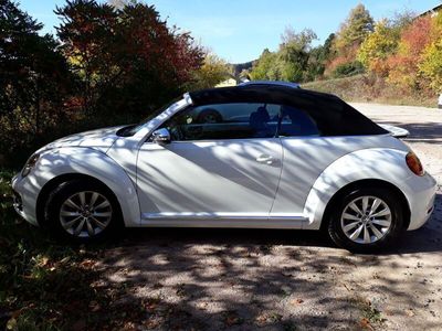 gebraucht VW Beetle Cabrio weiß 110 PS Diesel