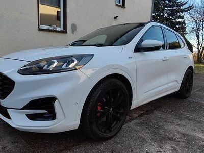 Gebraucht Ford Kuga ST-Line 150 PS (110 kW) 2021 Weiß SUV