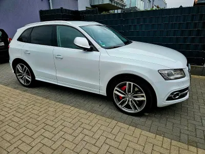 Gebraucht Audi SQ5 Exclusive 313 PS (230 kW) 2015 Weiß SUV