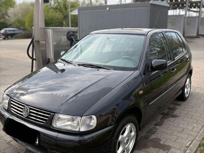 VW Polo