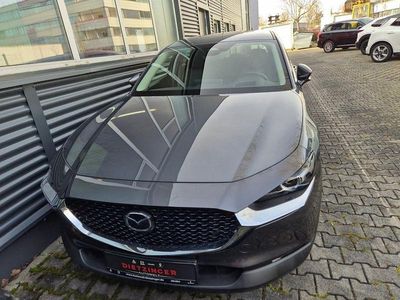 Gebraucht Mazda CX-30 186 PS (136 kW) 2024 Grau SUV