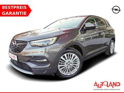 Gebraucht Opel Grandland X 131 PS (96 kW) 2020 Grau SUV