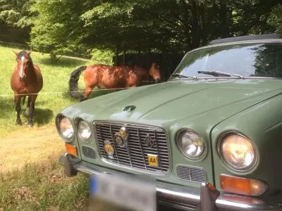 Gebraucht Jaguar XJ6 188 PS (138 kW) 1971 Grün Limousine