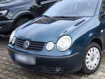 Grün Gebraucht 2002 VW Polo Kleinwagen | 749 € (Guter Preis)