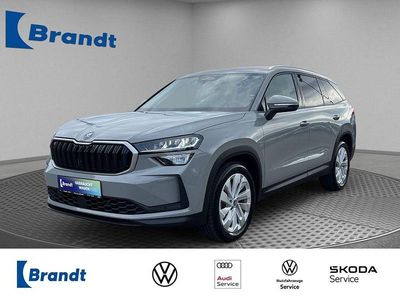 Gebraucht Skoda Kodiaq Selection 150 PS (110 kW) 2025 Grau SUV