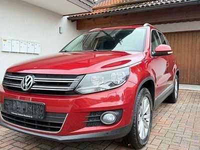 Gebraucht VW Tiguan Sportline 184 PS (135 kW) 2016 Rot SUV
