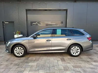 Gebraucht Skoda Octavia 150 PS (110 kW) 2026 Grau Kombi