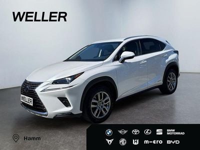 Usata Lexus NX300h Business Edition 197 CV (144 kW) 2018 Bianco SUV