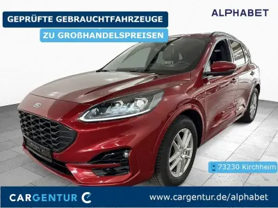 Gebraucht Ford Kuga ST-Line X 224 PS (164 kW) 2023 Rot SUV