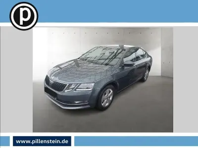 Gebraucht Skoda Octavia Style 150 PS (110 kW) 2019 Grau Limousine