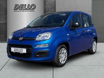Nouă Fiat Panda Icon 65 CP (47 kW) 2026 Hatchback
