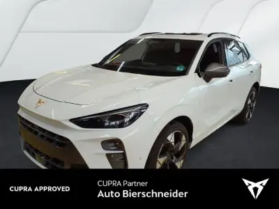 Usata Cupra Terramar VZ 265 CV (194 kW) 2025 Bianco SUV