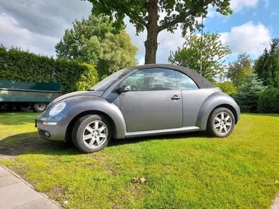 VW Beetle