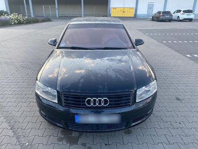 Schwarz Gebraucht 2003 Audi A8 Limousine | 6.500 € (Teuer)