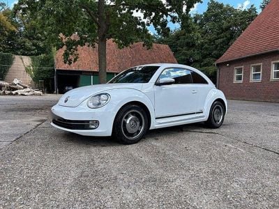 VW Beetle