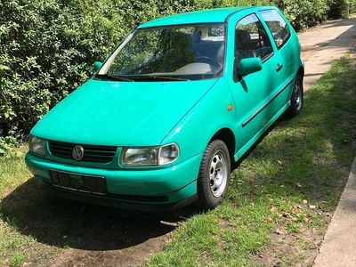 VW Polo