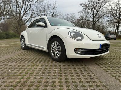 gebraucht VW Beetle 