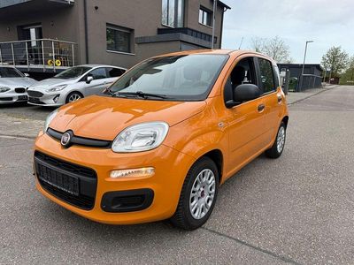 Gebraucht Fiat Panda Easy 69 PS (50 kW) 2017 Orange Kleinwagen