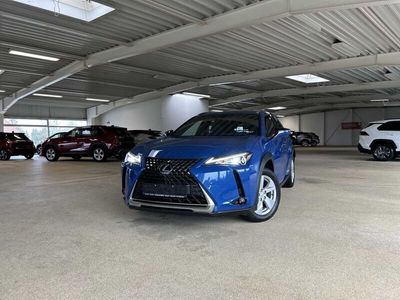 gebraucht Lexus UX 250h Edition