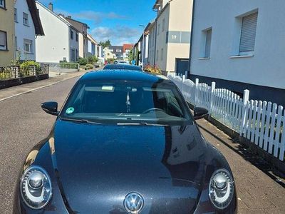 VW Beetle