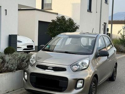Grau Gebraucht 2015 Kia Picanto Kleinwagen | 6.800 € (Fairer Preis)