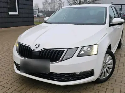 Używany Skoda Octavia 115 KM (84 kW) 2019 Biały Kombi
