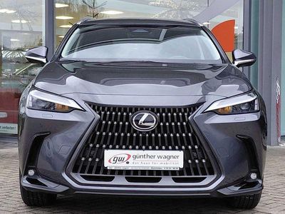 Gebraucht Lexus NX350h E-FOUR Executive Line 190 PS (139 kW) 2025 Sonic grey SUV