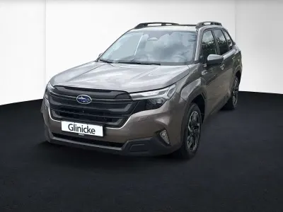 Gebraucht Subaru Forester
