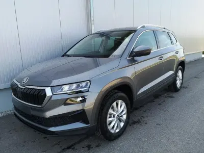 Neu Skoda Karoq Selection 150 PS (110 kW) 2026 Grau SUV