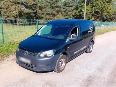 VW Caddy Maxi
