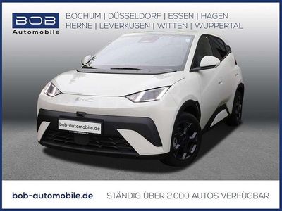 Gebraucht BYD Dolphin Surf Comfort 114 kW (156 PS) 2025 Apricity white Kleinwagen