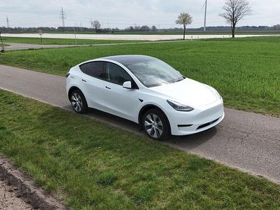 Usado Tesla Model Y Standard Range 219 kW (299 HP) 2023 Branco SUV