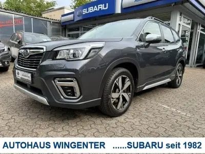 Gebraucht Subaru Forester
