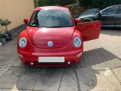 VW Beetle