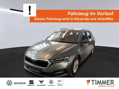 Usata Skoda Octavia Ambition 150 CV (110 kW) 2023 Grigio Station wagon
