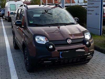 gebraucht Fiat Panda Cross Trussardi