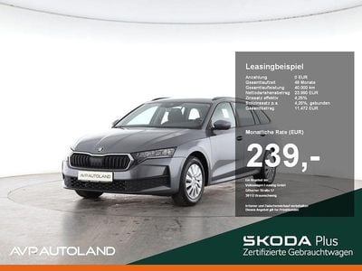 Graphitegrau Gebraucht 2025 Skoda Octavia Essence Kombi | 23.990 € (Guter Preis)