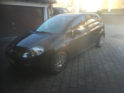 gebraucht Fiat Punto 1.2 8V MY MY