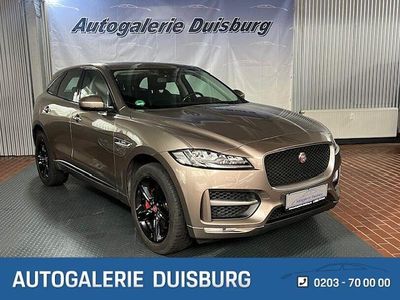 Gebraucht Jaguar F-Pace R-Sport 301 PS (221 kW) 2016 Braun SUV