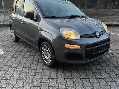 Gebraucht Fiat Panda 69 PS (50 kW) 2019 Grau Kleinwagen