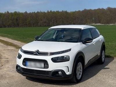Gebraucht Citroën C4 Shine 110 PS (80 kW) 2019 Weiß Limousine
