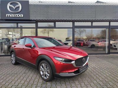 Gebraucht Mazda CX-30 Exclusive-Line 150 PS (110 kW) 2024 Soul red crystal m (metallic) SUV