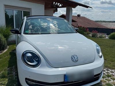 VW Beetle
